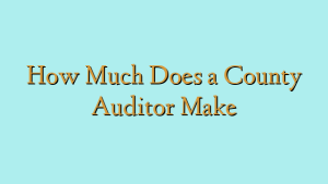 How Much Does a County Auditor Make