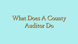 What Does A County Auditor Do