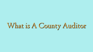 What is A County Auditor